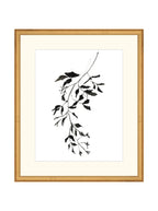 Botaniques encrées II