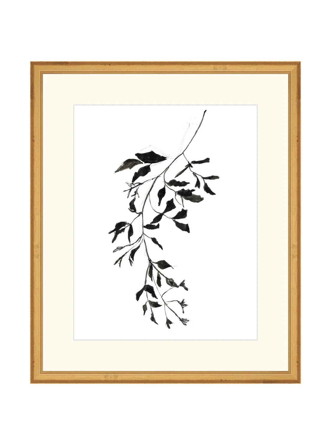 Botaniques encrées II