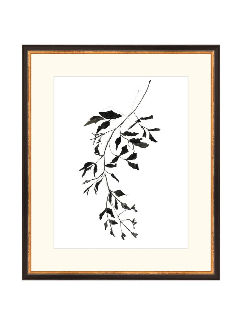 Botaniques encrées II