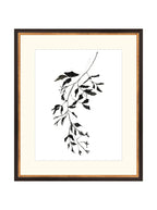 Botaniques encrées II