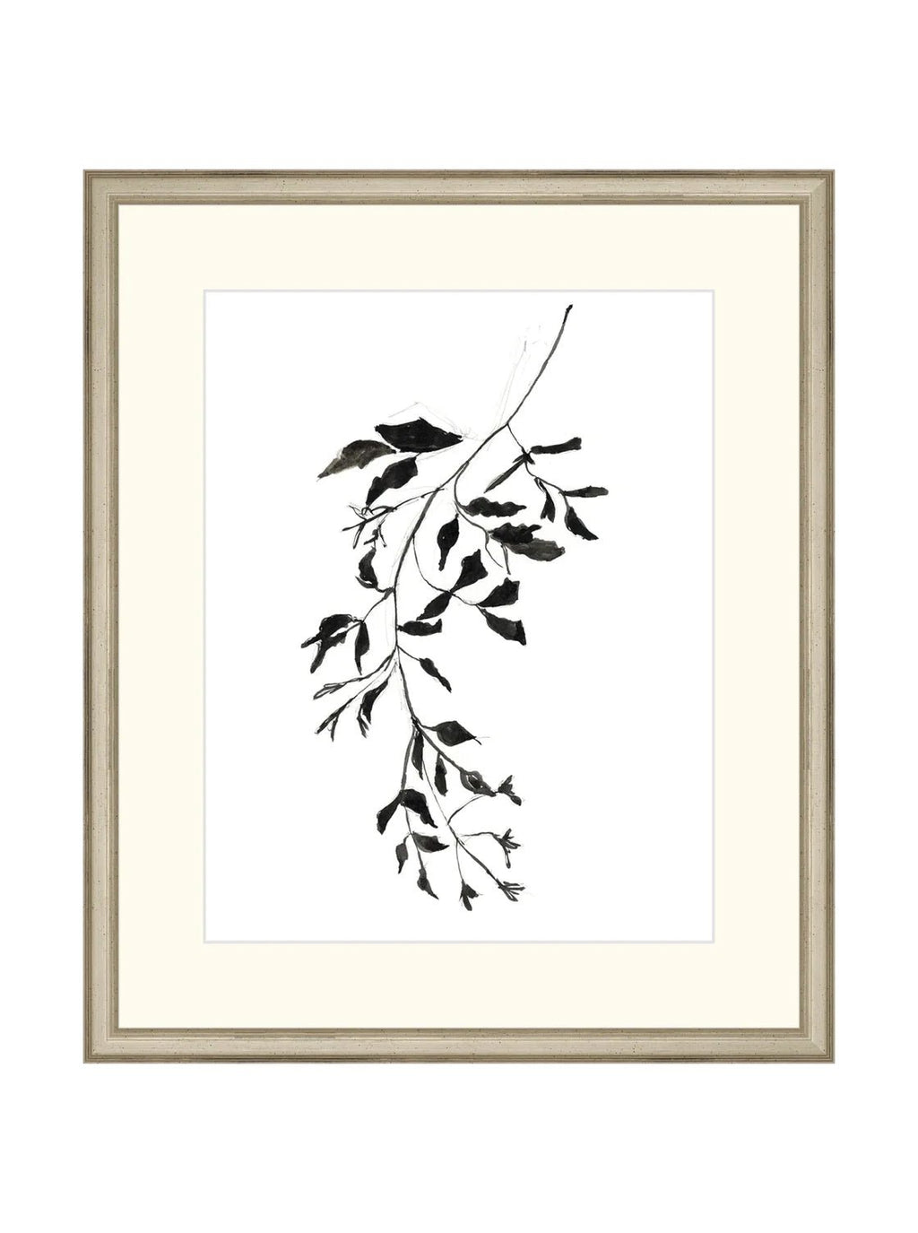 Botaniques encrées II