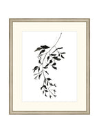 Botaniques encrées II