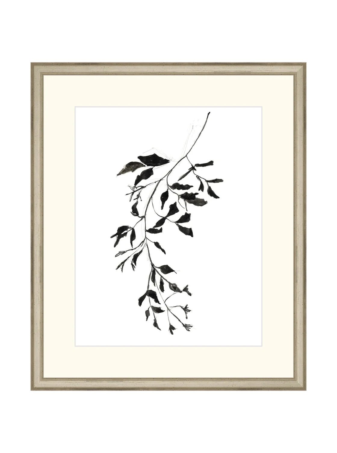 Botaniques encrées II