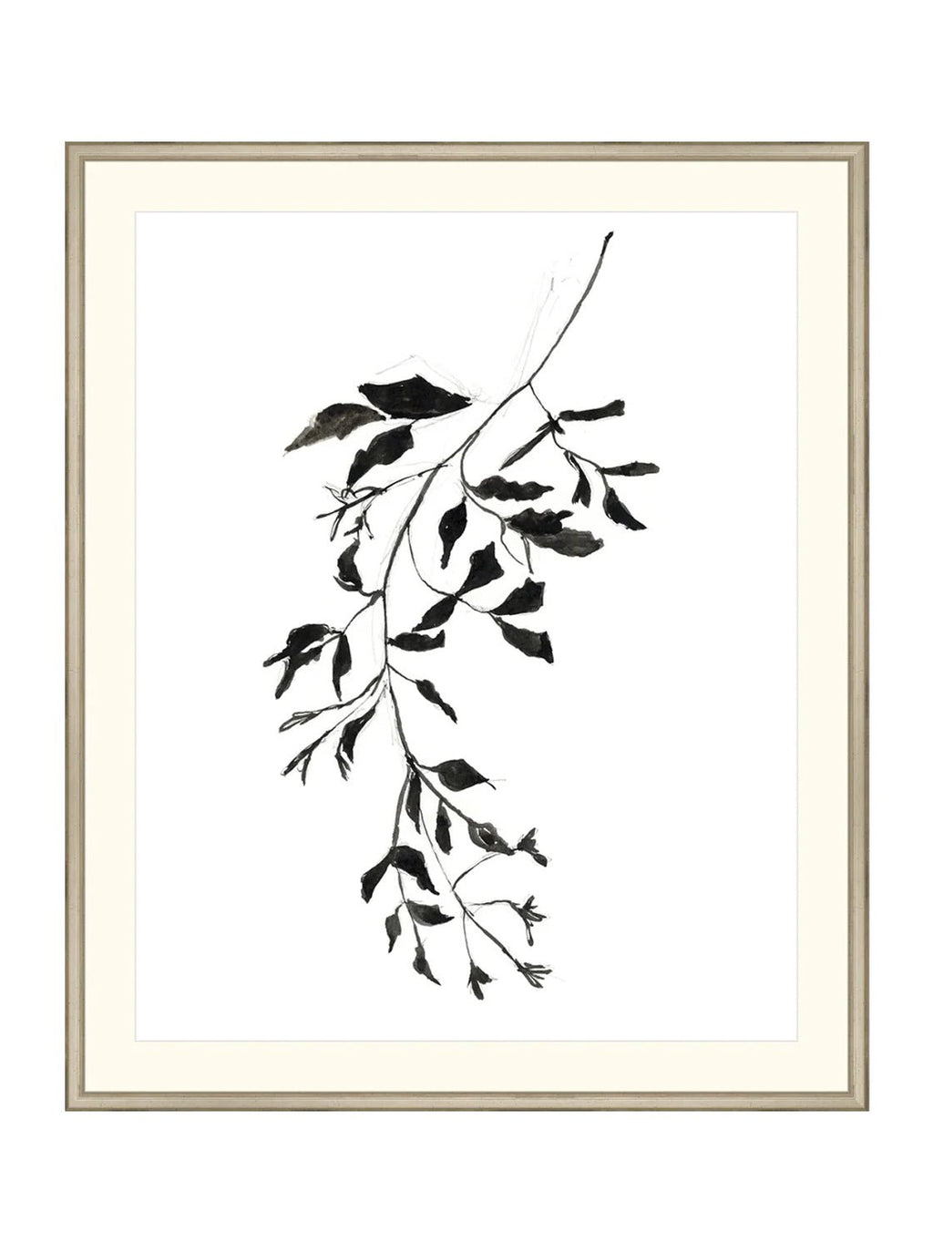 Botaniques encrées II