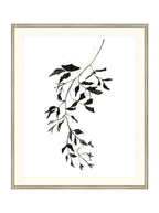 Botaniques encrées II