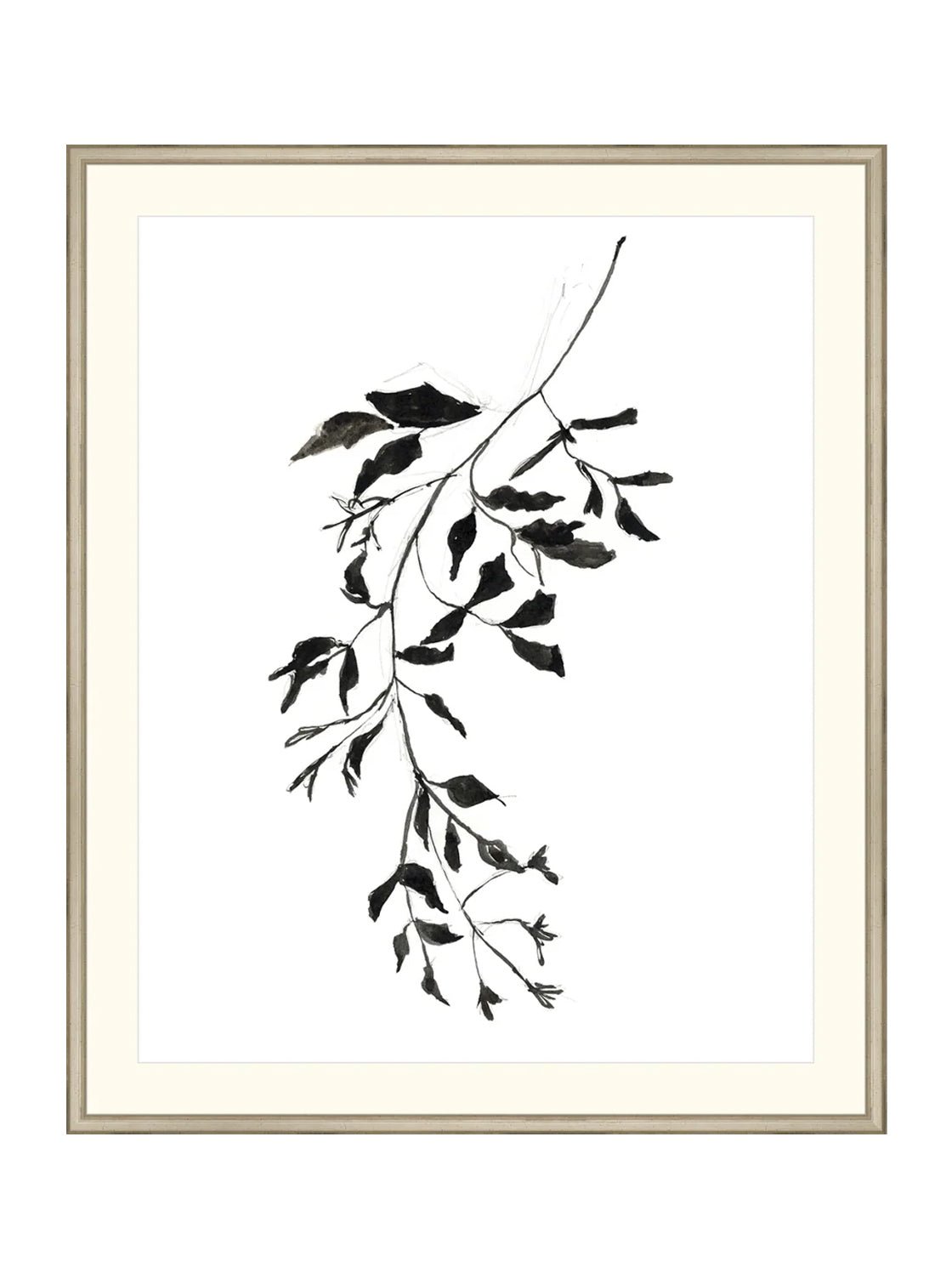 Botaniques encrées II