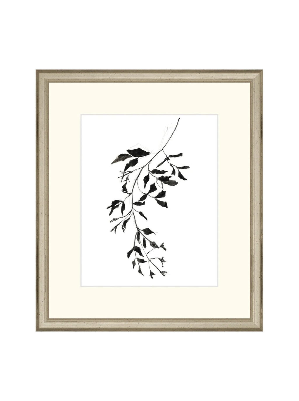 Botaniques encrées II