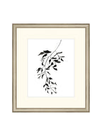 Botaniques encrées II