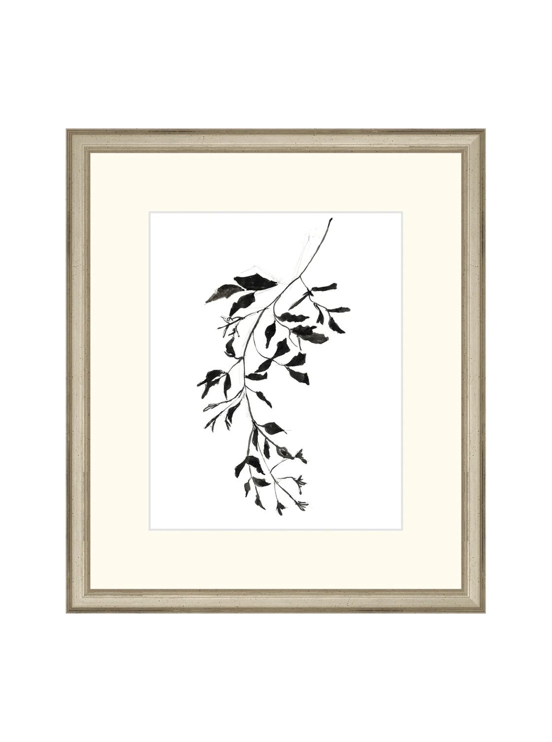 Botaniques encrées II