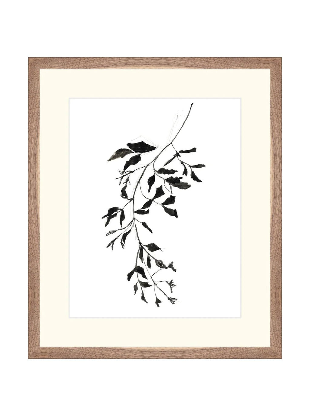 Botaniques encrées II