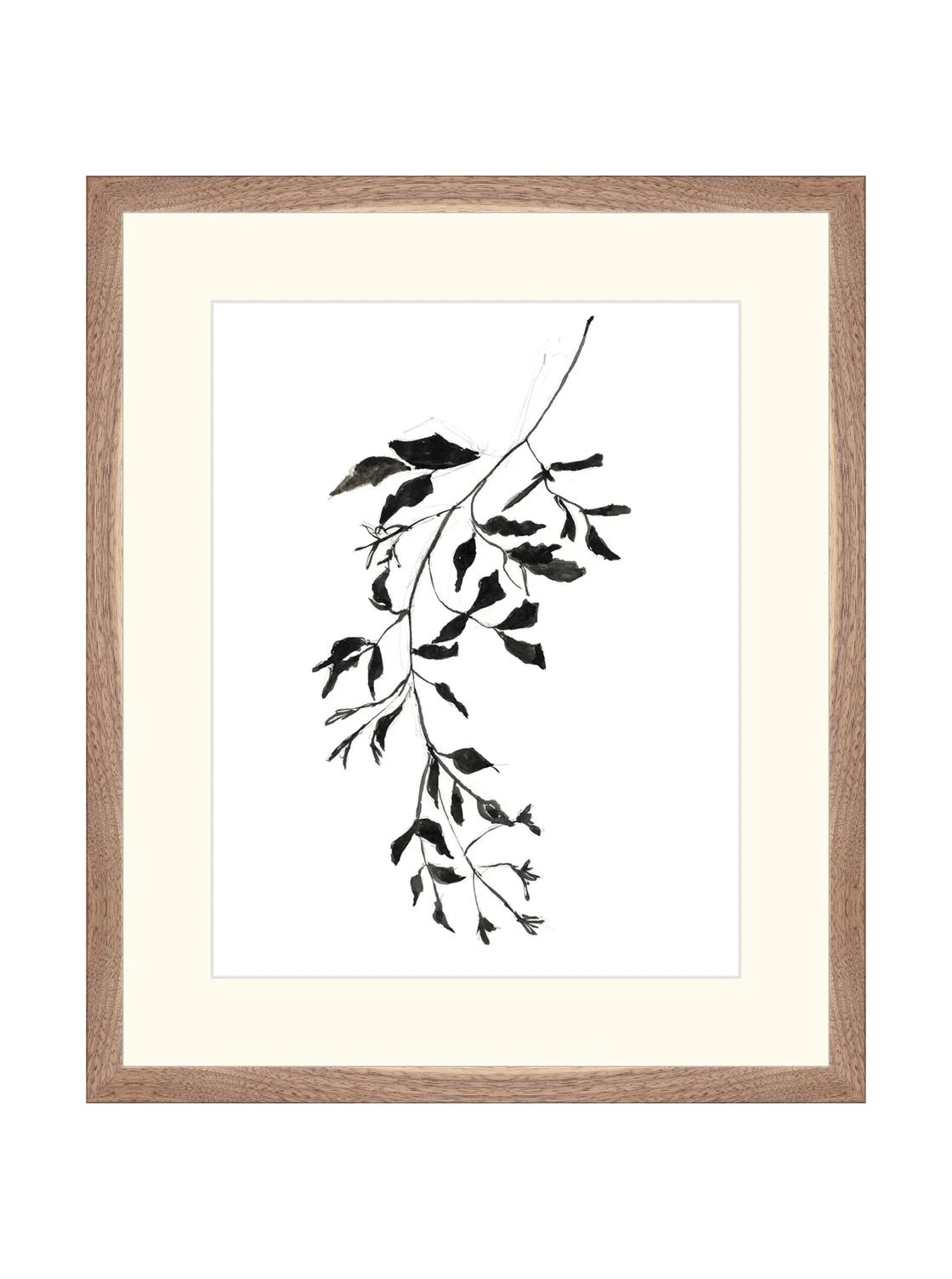 Botaniques encrées II