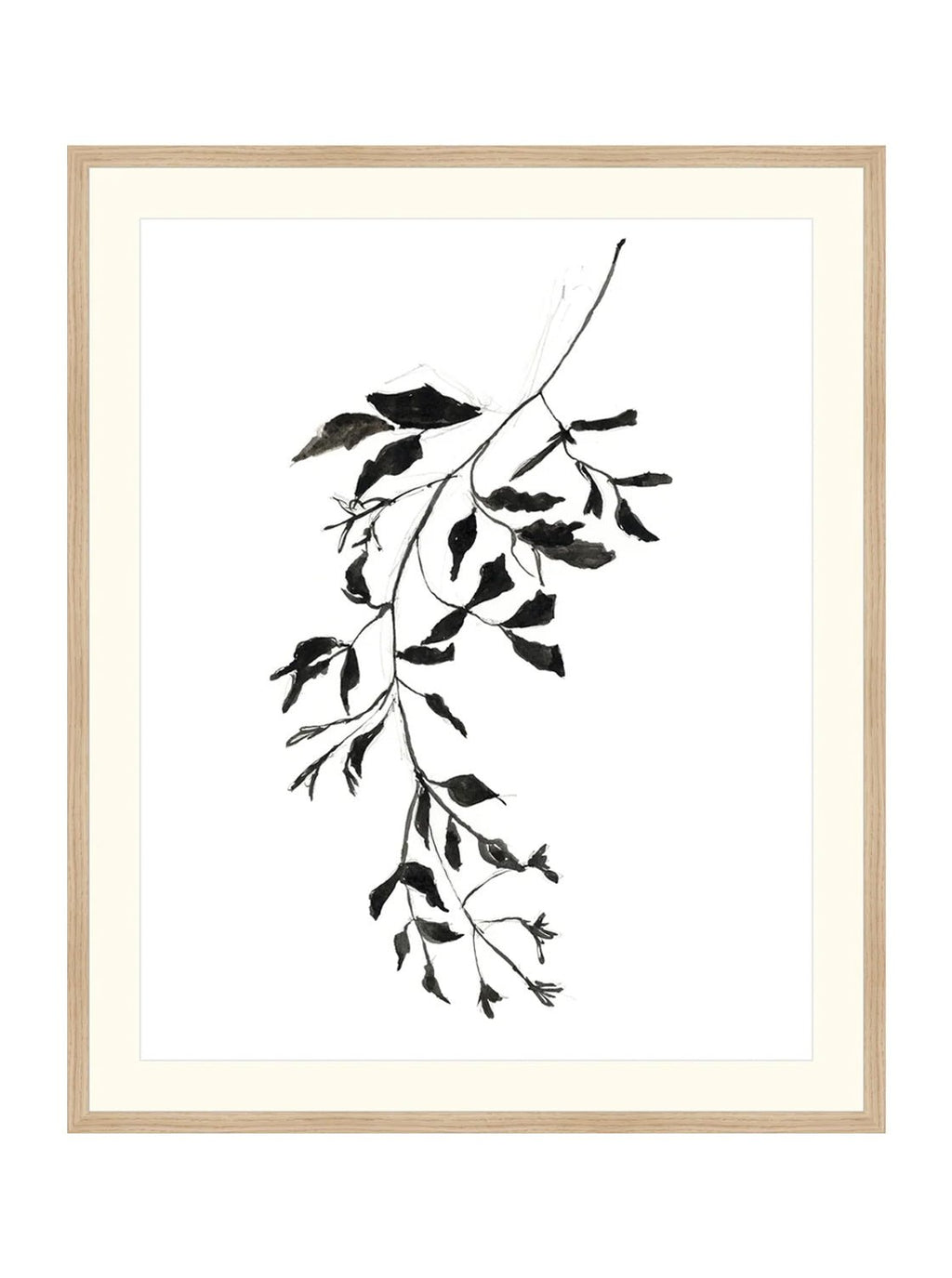 Botaniques encrées II