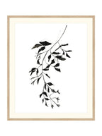 Botaniques encrées II