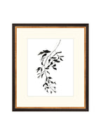 Botaniques encrées II