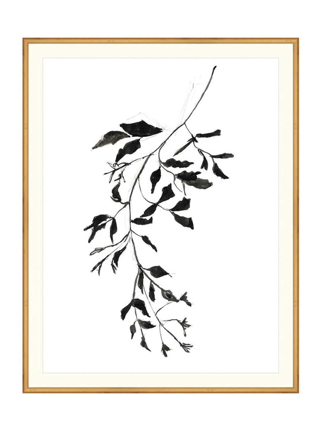 Botaniques encrées II
