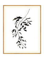 Botaniques encrées II