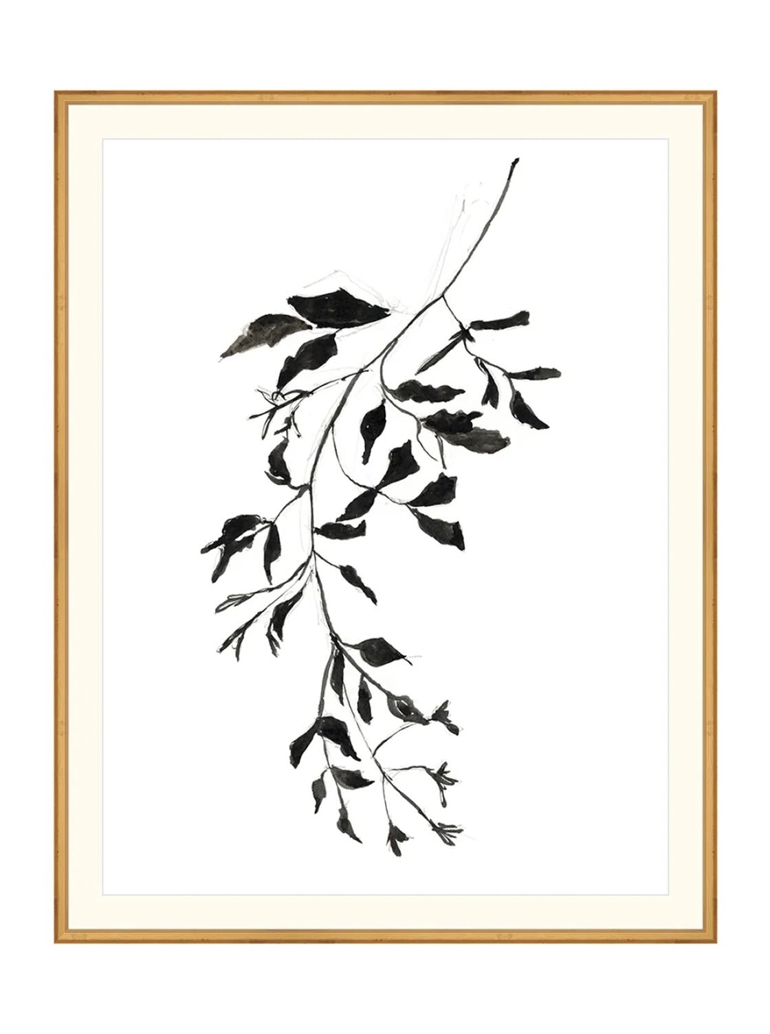 Botaniques encrées II