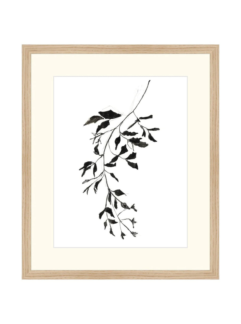 Botaniques encrées II