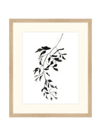 Botaniques encrées II