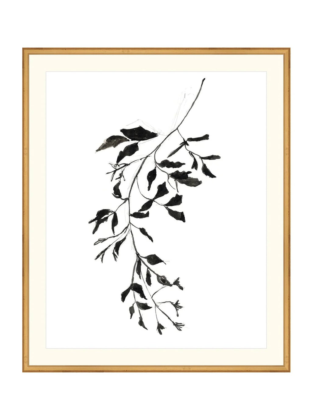 Botaniques encrées II