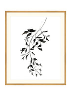 Botaniques encrées II