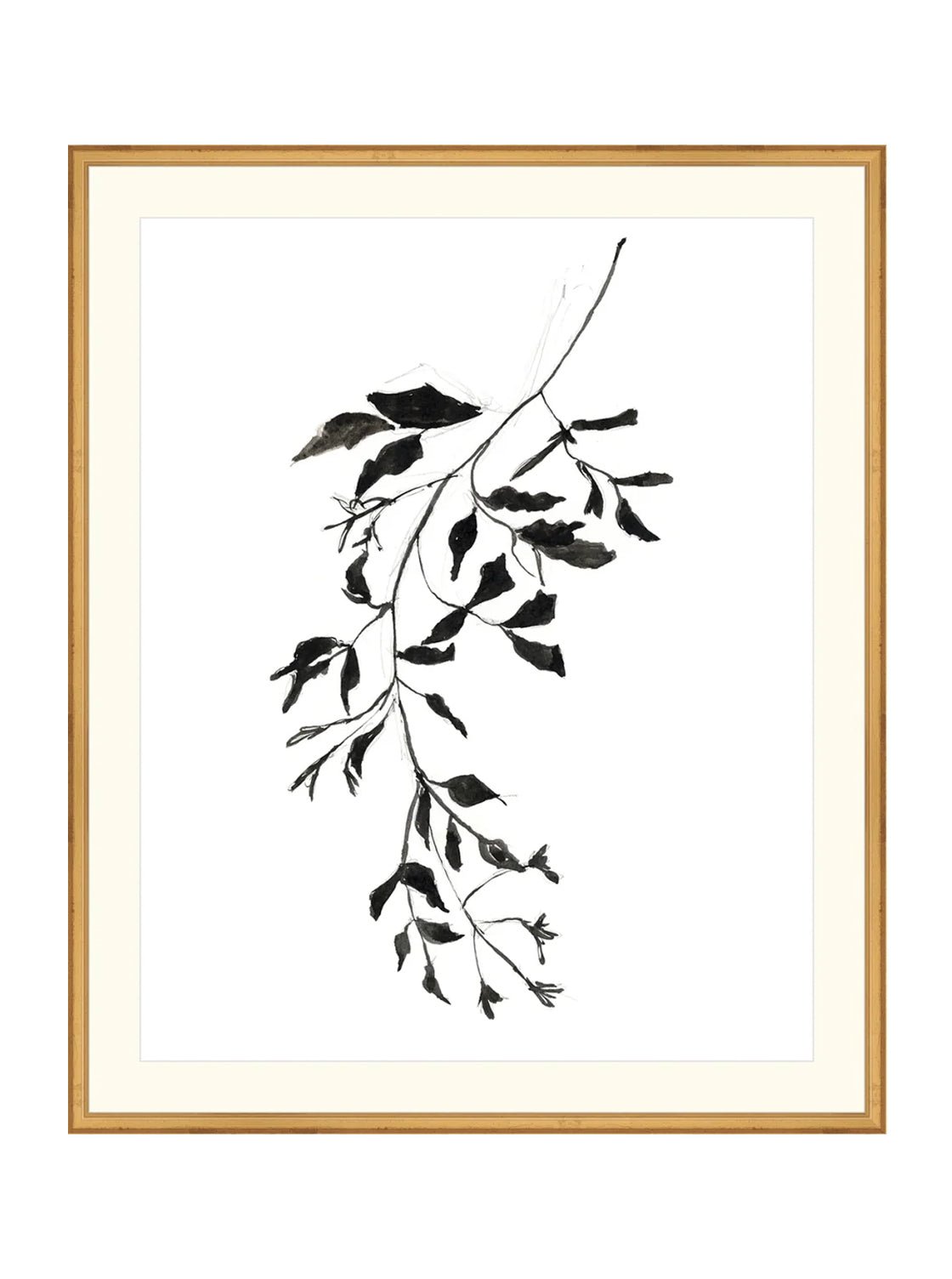 Botaniques encrées II