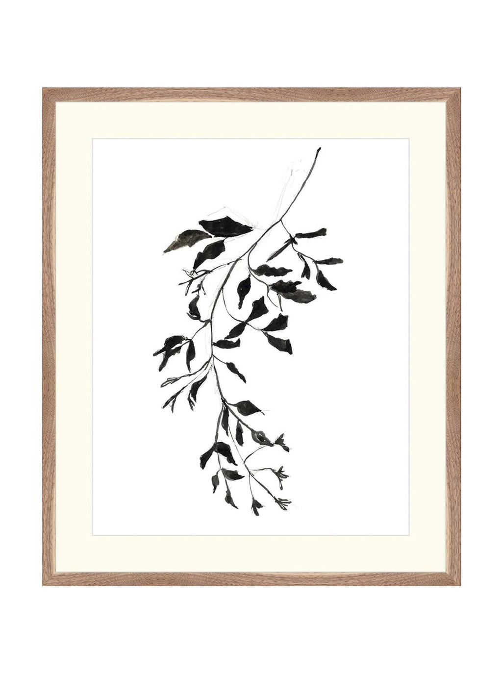 Botaniques encrées II