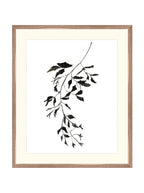 Botaniques encrées II