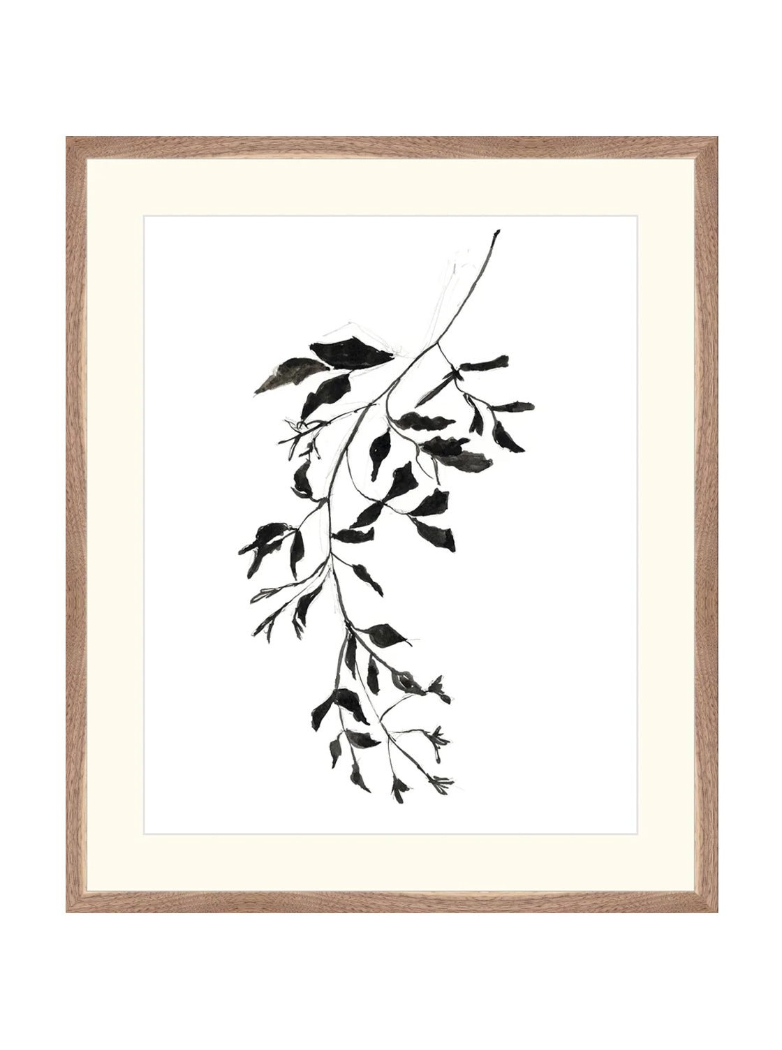 Botaniques encrées II