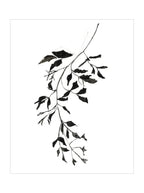 Botaniques encrées II