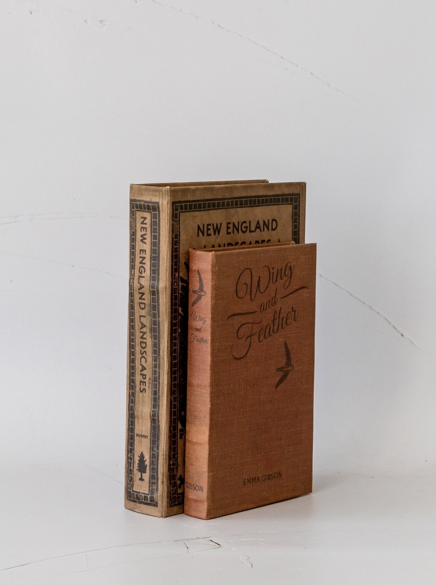 Coffret de livres Paysages | Lot de 2