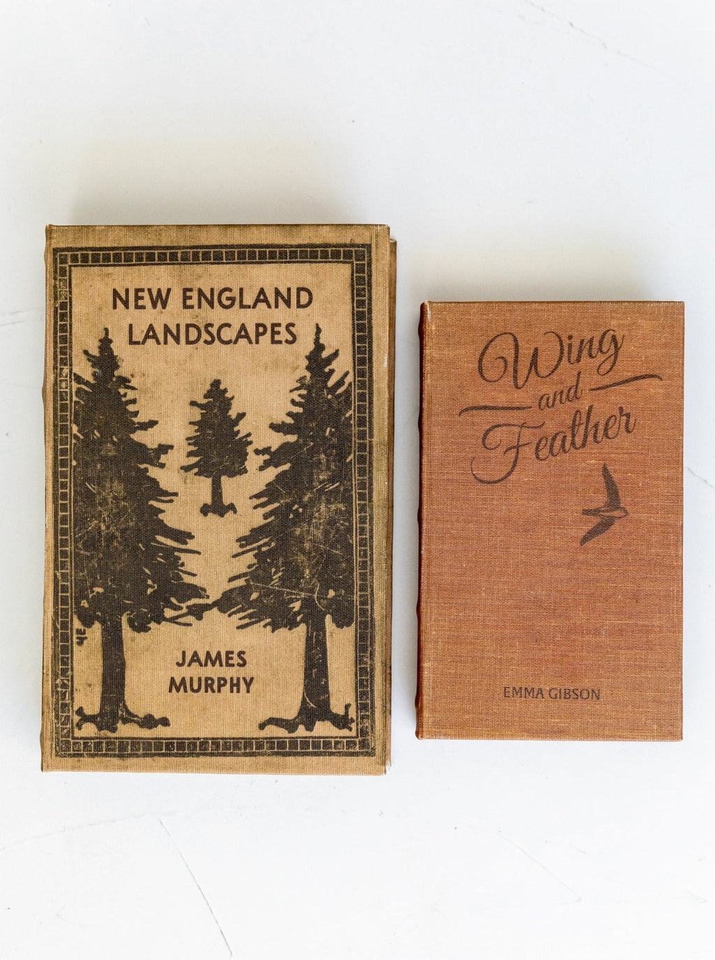 Coffret de livres Paysages | Lot de 2