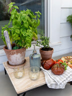 Bougies votives en forme de feuille