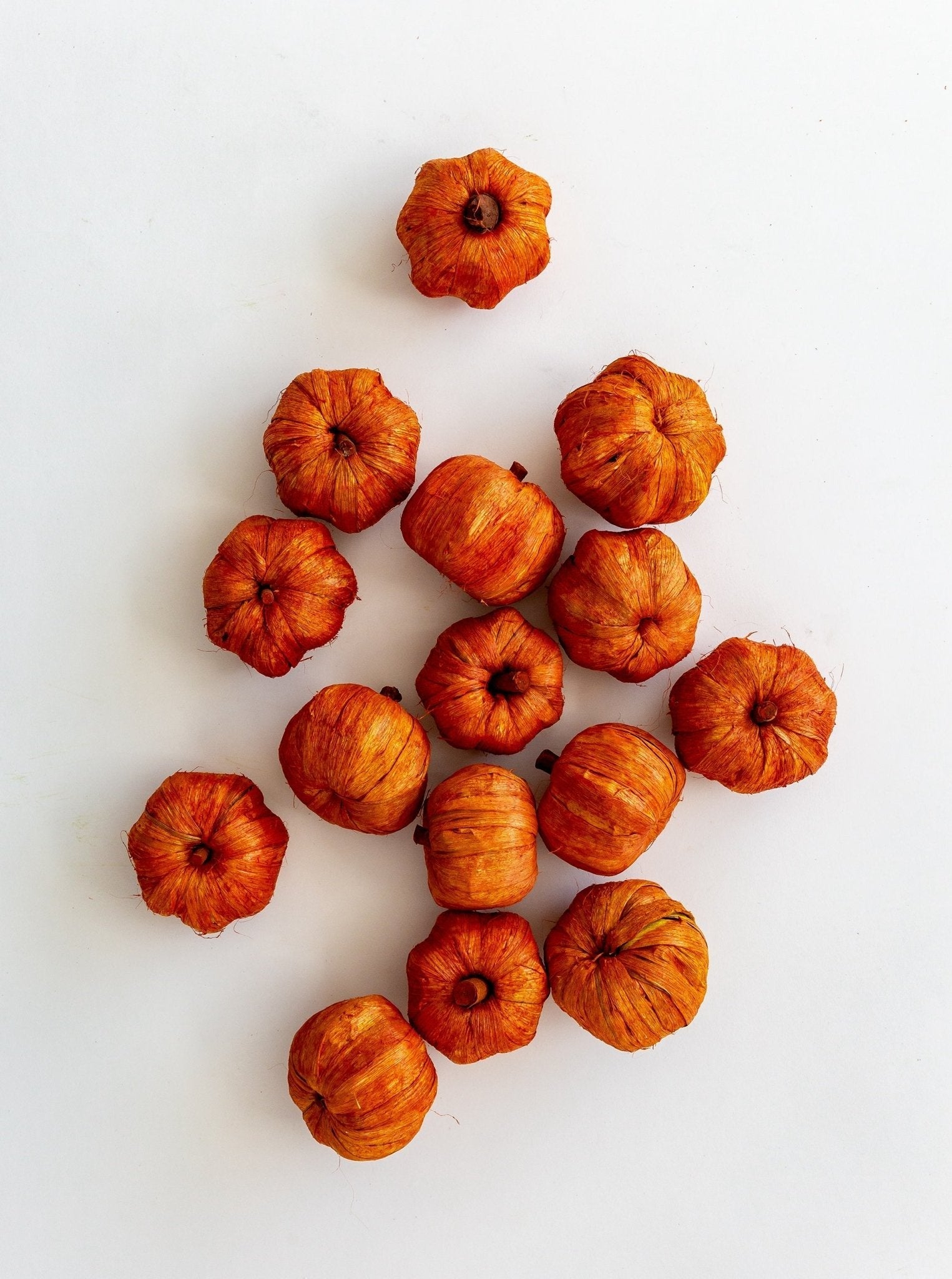 Mini citrouilles | Lot de 15