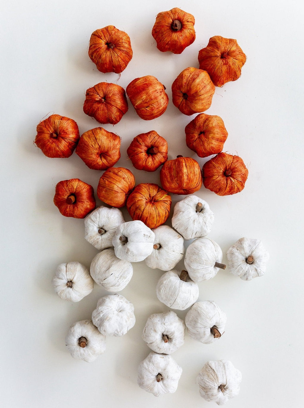 Mini citrouilles | Lot de 15