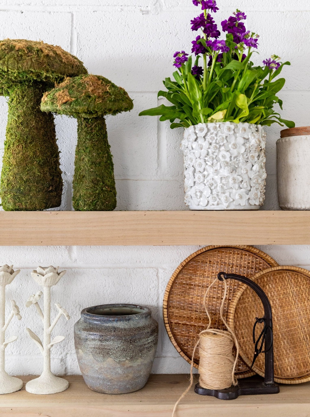 Champignons de mousse