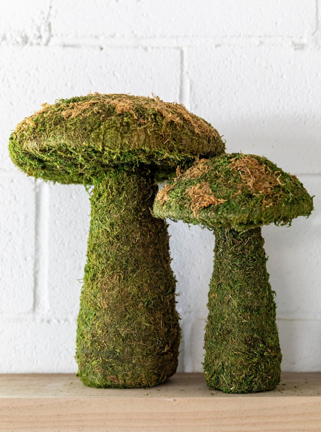 Champignons de mousse