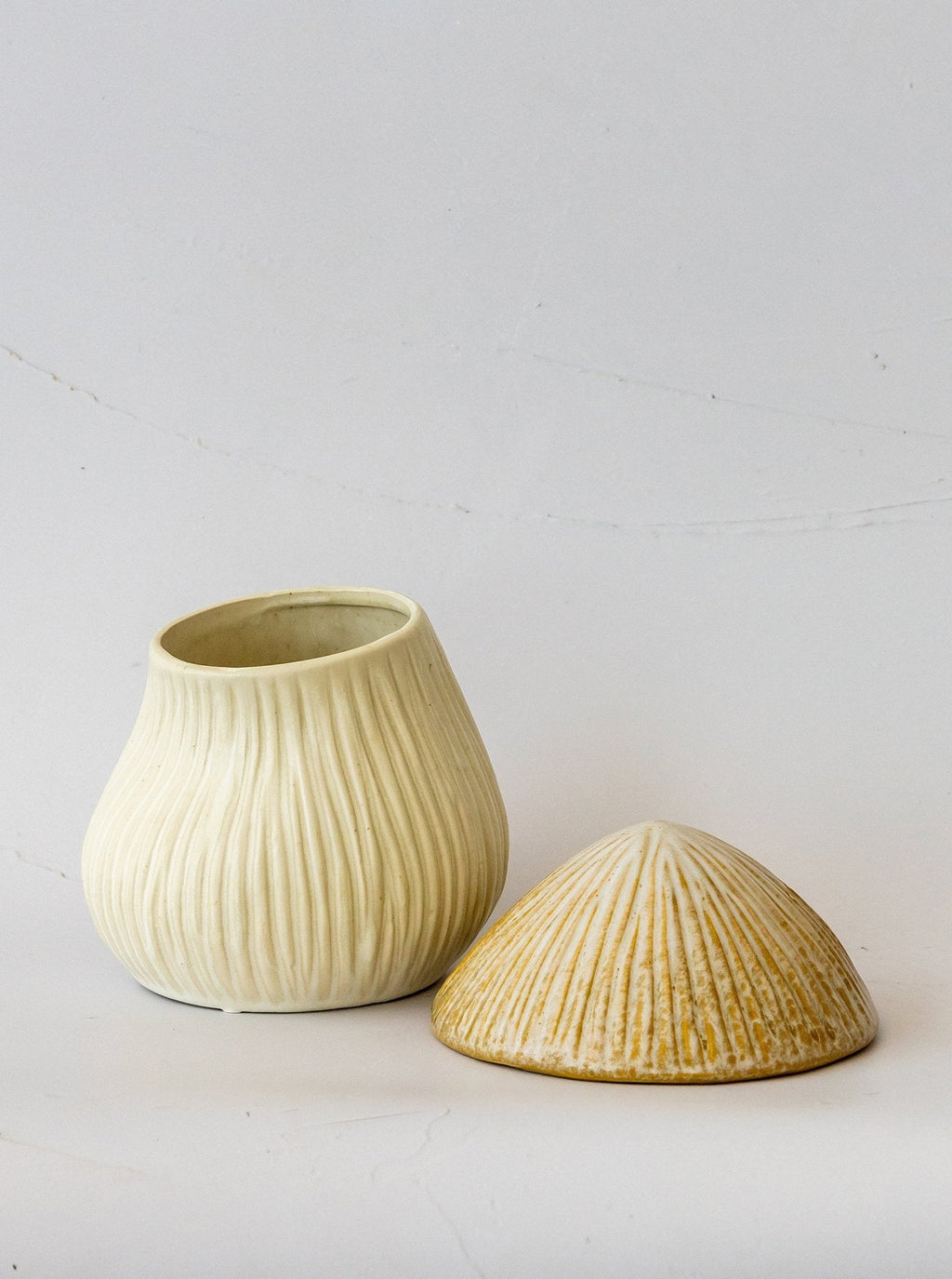 Boîte à chapeau de champignon