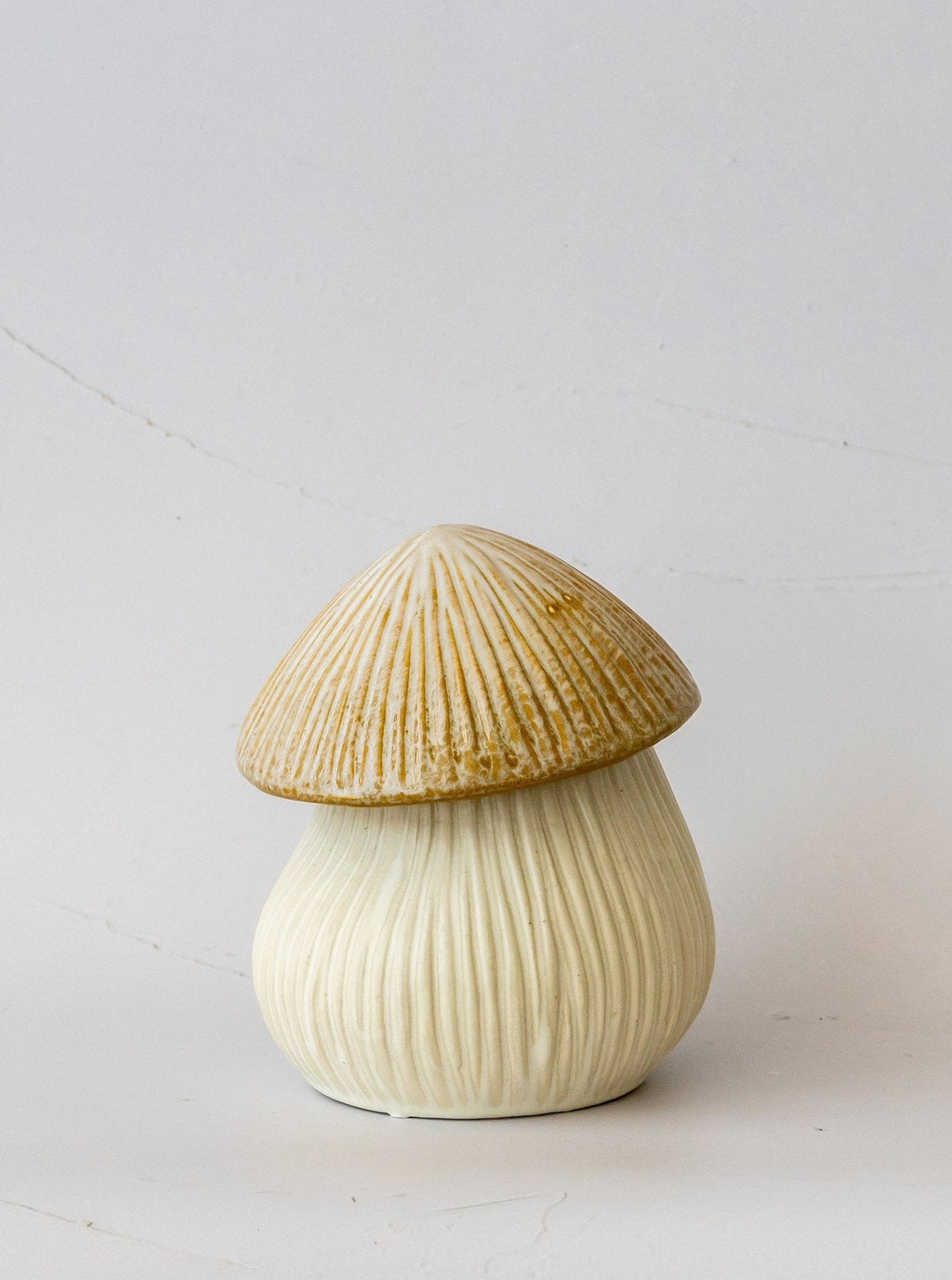 Boîte à chapeau de champignon