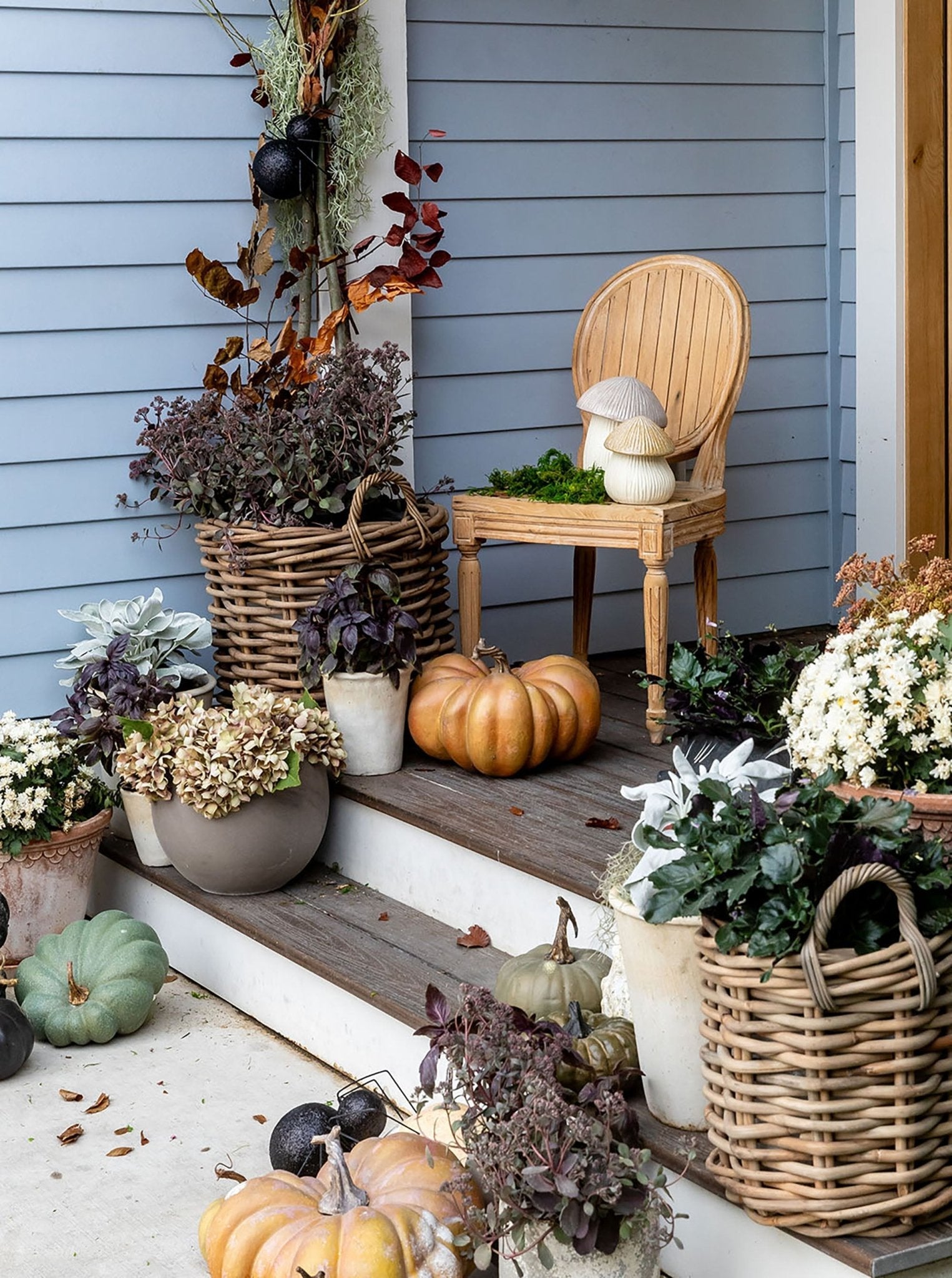 Boîte à chapeau de champignon