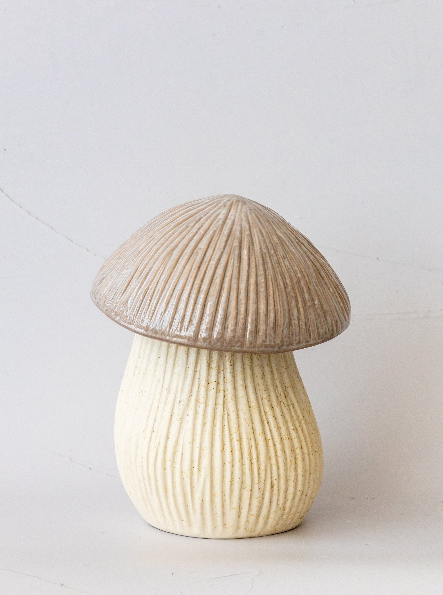 Boîte à chapeau de champignon