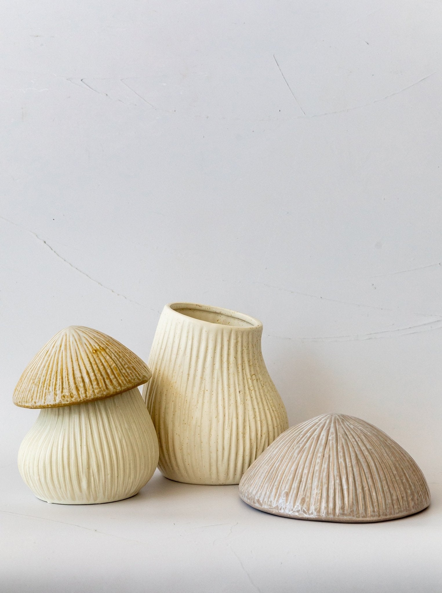 Boîte à chapeau de champignon