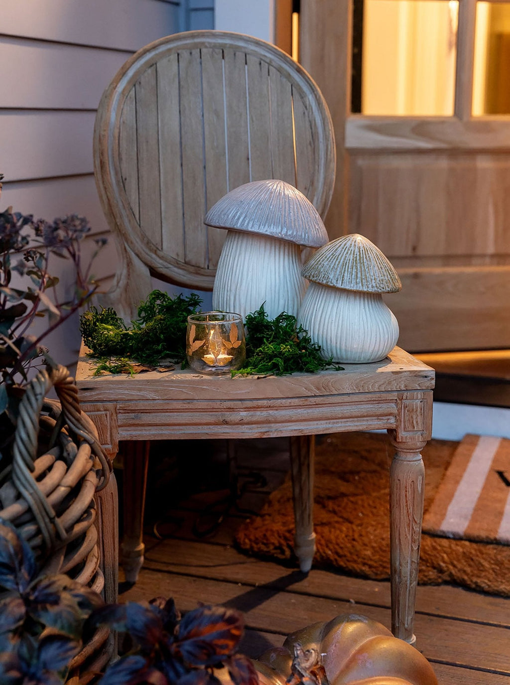 Boîte à chapeau de champignon