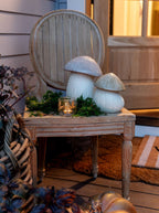 Boîte à chapeau de champignon