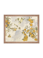 Orangerie Art Print Watercolor Oranges Illustration With Ripe Citrus On Branches Against Soft Background
