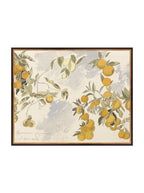 Orangerie Art Print Watercolor Oranges Illustration With Ripe Citrus On Branches Against Soft Background