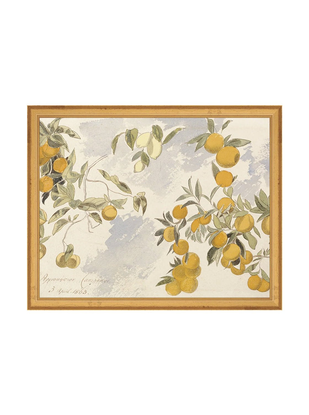Orangerie Art Print Watercolor Oranges Illustration With Ripe Citrus On Branches Against Soft Background