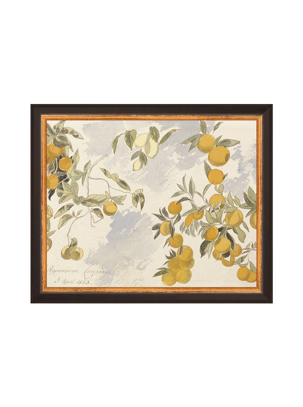 Orangerie Art Print Watercolor Oranges Illustration With Ripe Citrus On Branches Against Soft Background