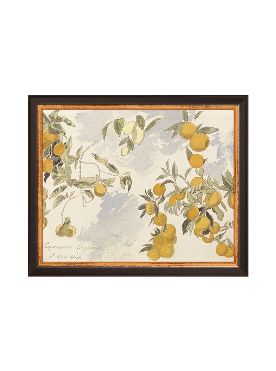 Orangerie Art Print Watercolor Oranges Illustration With Ripe Citrus On Branches Against Soft Background