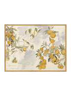 Orangerie Art Print Watercolor Oranges Illustration With Ripe Citrus On Branches Against Soft Background